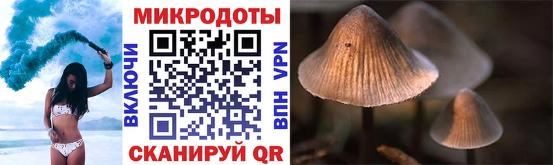Галлюциногенные грибы GOLDEN TEACHER  Коломна 